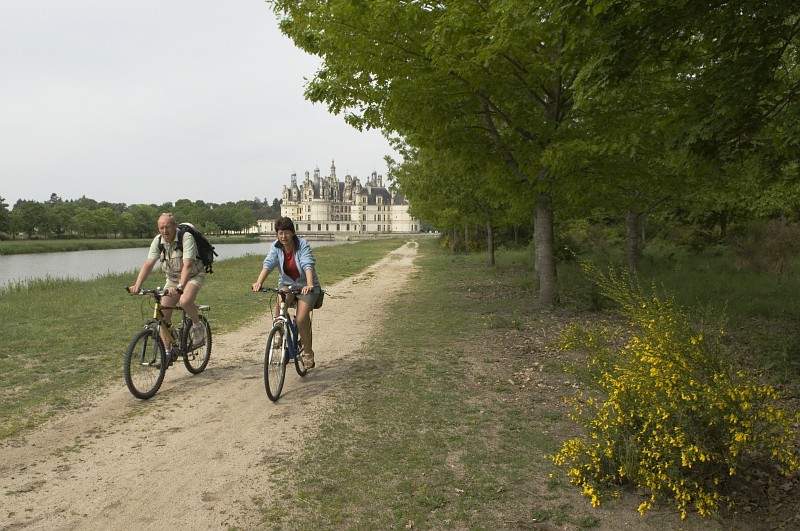 Cyclistes dans le parc du Château de Chambord